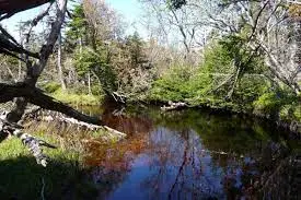 Ruisseau de Saint Pierre