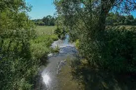 Ruisseau de Vergis