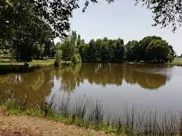 Etang de Lanouée