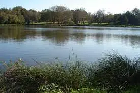 Etang du Pont Berthois