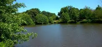 Etang de la Chapelle-Gaceline