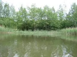 Ruisseau du Neuf Etang
