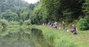 Etang du Moulin de Garrebourg