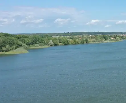 Pêche Etang de Mittersheim Fishsurfing