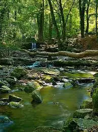 Ruisseau de Montenach