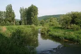 Ruisseau de Weistroff