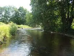 Parcours No-Kill mouche sur l'Yonne