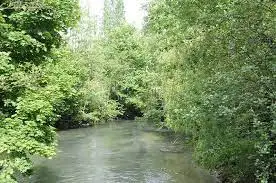 Ruisseau de Wambez