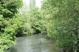 Ruisseau de Parisis