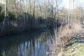 Plan d'eau - AAPPMA de Cires les Mello