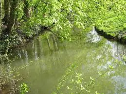 Ruisseau d'Arnoye
