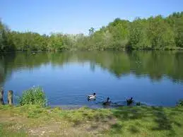 Petit étang de La Villetertre