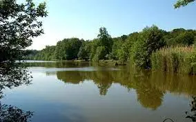 Grand Etang De La Villetertre