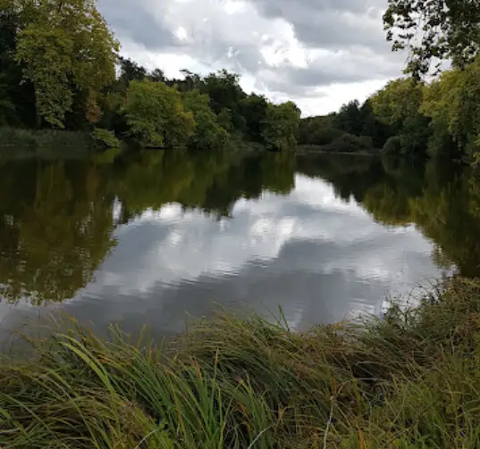 Etang de Saint Périne
