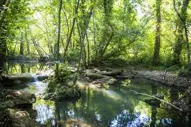 Ruisseau de Saint-Amand