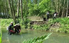 Ruisseau des Puisards de Manceau