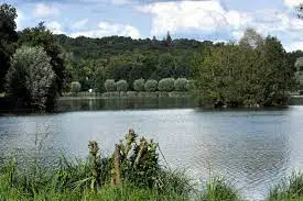 Etang des Viviers