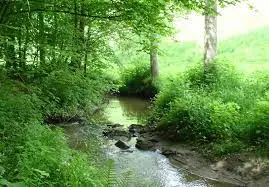 Ru de la Fontaine Roch