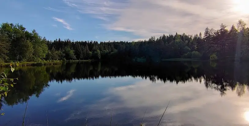 Etangs de la Colombière