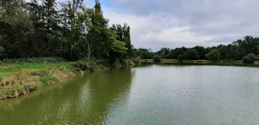 Etang de Brugeailles