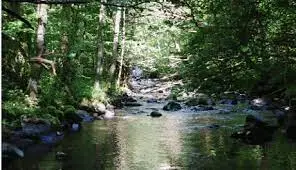 La Morge au Moulin Morel