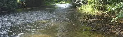 Ruisseau de la Paguère