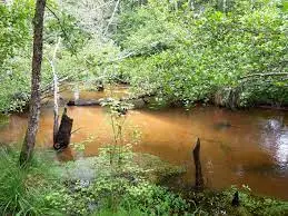 Ruisseau de Cantaloup