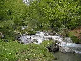 Ruisseau de la Sède