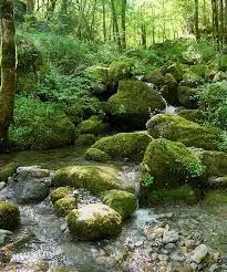 Ruisseau de la Soula