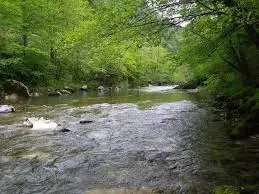 Ruisseau des Entortes