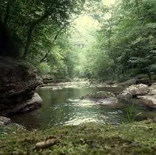 Ruisseau d'Ourdégon