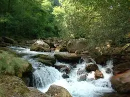 Ruisseau de Bernède