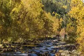 Agulla de l'Eixau Vella