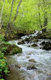 Ribera de la Valleta