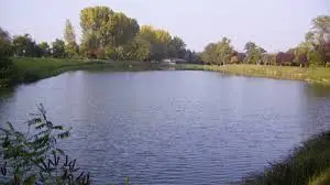Etang Aimé Gerber
