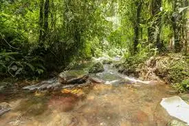 Ruisseau de Horsfontaine