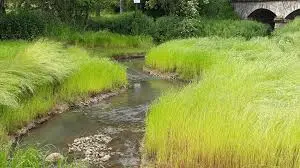 Ruisseau de la Grande Eau