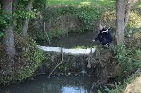 Ruisseau de En la Cour