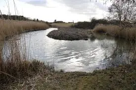 Ruisseau des Grands Bois