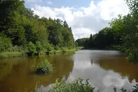 Plan d'eau La Vendenesse