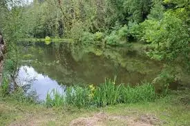 Plan d'eau des Filatures