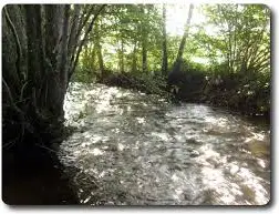 Ruisseau des Novelots