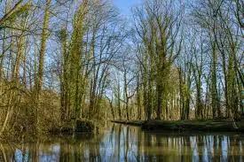 Ruisseau de Germonvaux