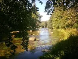 Ruisseau de Bassemon