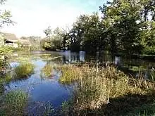 Ruisseau des Mortes du Breuil