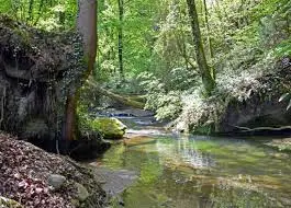 Ruisseau des Vieilles Granges