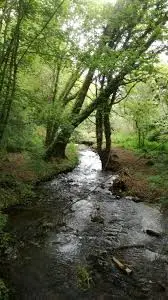 Ruisseau de Malgérard