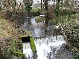 Ruisseau des Étangs