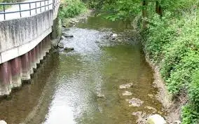 Fossé de la Trembloye