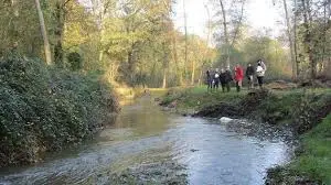 Ruisseau de la Filerie